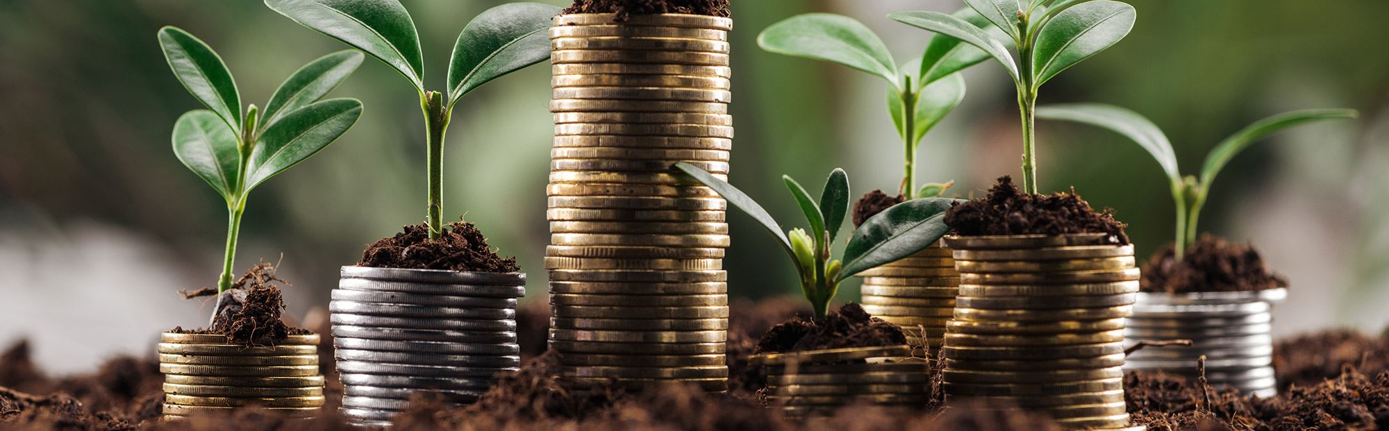 Stacks of coins with small plants growing out of the top.. made to illustrate growth.